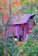 Red Barn in Norbeck Woods